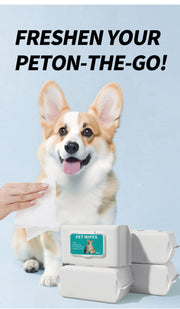 TUXTOOX Alcohol & Fragrance Free Pet Hygienic Wipes, Hypoallergenic Thick Soft Cleaning Wipes for Dogs & Cats, Multi-Purpose Daily Grooming Wipes 80 Count (14×18cm)