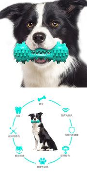 TUXTOOX Squeaky Dog Toothbrush Chew Toy, Durable TPR Dental Cleaning Toy with Groove Design, Interactive Teething Anxiety Relief Toy for Small Medium Large Aggressive Chewers