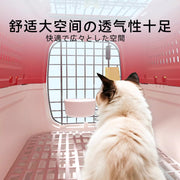 TUXTOOX Hard-Sided Pet Carrier for Cats & Small Dogs Portable Hard Shell Kennel for Car Travel, Vet Visits & Indoor Isolation
