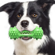 TUXTOOX Squeaky Dog Toothbrush Chew Toy, Durable TPR Dental Cleaning Toy with Groove Design, Interactive Teething Anxiety Relief Toy for Small Medium Large Aggressive Chewers