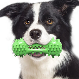 TUXTOOX Squeaky Dog Toothbrush Chew Toy, Durable TPR Dental Cleaning Toy with Groove Design, Interactive Teething Anxiety Relief Toy for Small Medium Large Aggressive Chewers