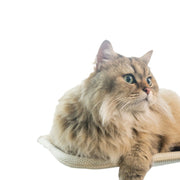 TUXTOOX Extra Large Foldable Cat Hammock Bed, Breathable Mesh Elevated Cat Lounger, Stable Hanging Cooling Cat Bed, Portable Easy-Clean Stress Relief Indoor Sleeping Bed for Cats - Beige