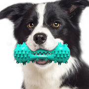 TUXTOOX Squeaky Dog Toothbrush Chew Toy, Durable TPR Dental Cleaning Toy with Groove Design, Interactive Teething Anxiety Relief Toy for Small Medium Large Aggressive Chewers
