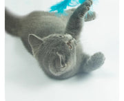 TUXTOOX 4-Piece Interactive Cat Teaser Wand Toy Set, Retractable Flexible Cat Wand with Natural Feather Bell Ribbon Pom-pom Attachments, Indoor Hunting Training Exercise Boredom Relief Play Toy for Kitten & Adult Cats