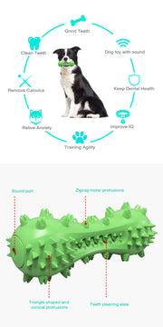 TUXTOOX Squeaky Dog Toothbrush Chew Toy, Durable TPR Dental Cleaning Toy with Groove Design, Interactive Teething Anxiety Relief Toy for Small Medium Large Aggressive Chewers