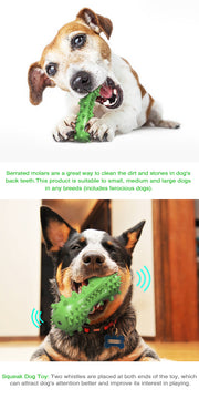 TUXTOOX Squeaky Dog Toothbrush Chew Toy, Durable TPR Dental Cleaning Toy with Groove Design, Interactive Teething Anxiety Relief Toy for Small Medium Large Aggressive Chewers