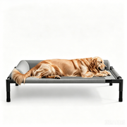 TUXTOOX Elevated Cooling Dog Bed with 3-Sided Bolster Pillow, Breathable Mesh Raised Pet Cot, Rustproof Steel Frame Non-Slip Indoor Outdoor Camping Dog Bed, Washable Heavy Duty Pet Bed for Medium Large Dogs M/L