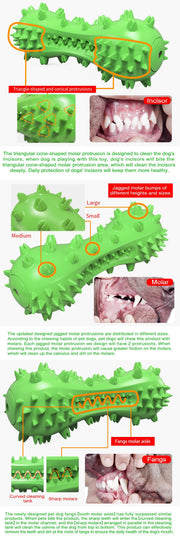 TUXTOOX Squeaky Dog Toothbrush Chew Toy, Durable TPR Dental Cleaning Toy with Groove Design, Interactive Teething Anxiety Relief Toy for Small Medium Large Aggressive Chewers