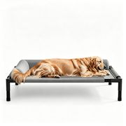 TUXTOOX Elevated Cooling Dog Bed with 3-Sided Bolster Pillow, Breathable Mesh Raised Pet Cot, Rustproof Steel Frame Non-Slip Indoor Outdoor Camping Dog Bed, Washable Heavy Duty Pet Bed for Medium Large Dogs M/L