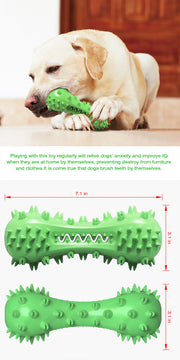 TUXTOOX Squeaky Dog Toothbrush Chew Toy, Durable TPR Dental Cleaning Toy with Groove Design, Interactive Teething Anxiety Relief Toy for Small Medium Large Aggressive Chewers