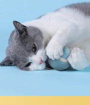 TUXTOOX Automatic Smart Cat Ball Toy, USB Rechargeable Interactive Rolling Cat Toy with Dual Play Modes, Motion Sensor & Obstacle Avoidance, Durable Silicone Self-Play Exercise Toy for Indoor Cats & Small Dogs