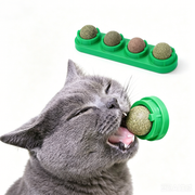 TUXTOOX 4-in-1 Rotatable Catnip Wall Balls, Natural Silvervine & Gall Fruit Cat Chew Toy, Dust-Proof Self-Adhesive Dental Cleaning Cat Ball, Stress Relief Hairball Remover Interactive Cat Treat Set