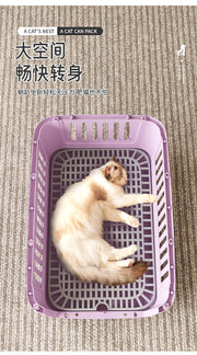 TUXTOOX Airline Approved Hard-Sided Pet Carrier, Breathable Ventilated Travel Crate with Metal Door & Secure Lock, Portable Anti-Impact Pet Kennel for Cats & Small Dogs