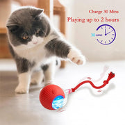 Automatic Interactive Rolling Cat Toys Ball for Indoor- Rechargeable Activate Dog Pet Toy for Indoor Self-Playing Automatic Moving Kitten Toys for Cats Durable and Safe Material