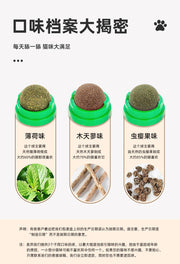 TUXTOOX 4-in-1 Rotatable Catnip Wall Balls, Natural Silvervine & Gall Fruit Cat Chew Toy, Dust-Proof Self-Adhesive Dental Cleaning Cat Ball, Stress Relief Hairball Remover Interactive Cat Treat Set