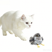 TUXTOOX Motion Activated Chirping Bird Cat Toy, Realistic Flapping Wings Interactive Hunting Toy with Refillable Catnip, USB Rechargeable Washable Plush Stress Relief Exercise Toy for Indoor Cats