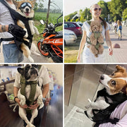 Hands-Free Pet Front Carrier Backpack – Breathable Mesh Carrier with Comfort Padded Straps for Travel, Adjustable Escape-Proof Dog Carrier with Tail Opening