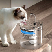 Constant Temperature Cat Water Dispenser Automatic Circulation Pet Water Dispenser Filter Kitten Drinking Water Fountain Dog Water Feeding