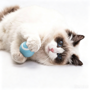 TUXTOOX Automatic Smart Cat Ball Toy, USB Rechargeable Interactive Rolling Cat Toy with Dual Play Modes, Motion Sensor & Obstacle Avoidance, Durable Silicone Self-Play Exercise Toy for Indoor Cats & Small Dogs