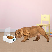 Automatic 5G Pet Feeder Intelligent Feeder Infrared Sensor Auto Open Cover Bowl Anti-Mouse Moisture-Proof Dog Cat Food Dispenser