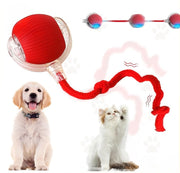 Automatic Interactive Rolling Cat Toys Ball for Indoor- Rechargeable Activate Dog Pet Toy for Indoor Self-Playing Automatic Moving Kitten Toys for Cats Durable and Safe Material
