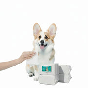 TUXTOOX Sanitary Pet Wipes 80 Counts Pouch Pack - Alcohol-Free pH Balanced Cleaning Wipes for Dogs & Cats