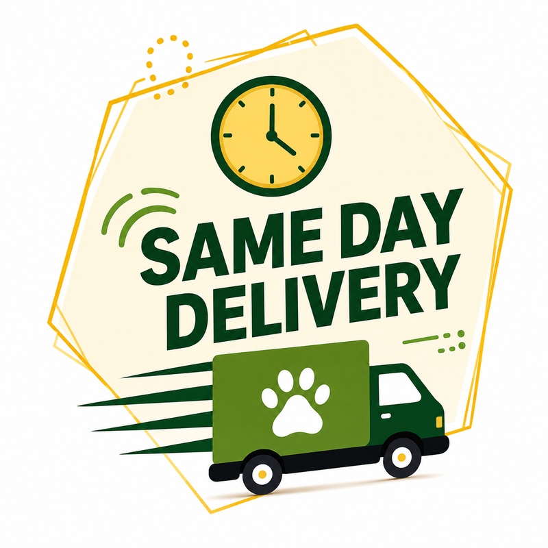 Same Day Delivery