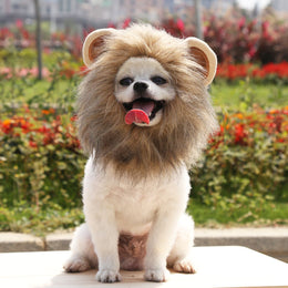 Lion Wig Costume Cats Accessories Cute Funny Small and Medium Sized Pet Dog Cat Accessories Lion Mane for Cat Pet Decor