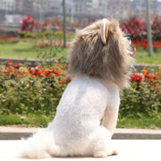 Lion Wig Costume Cats Accessories Cute Funny Small and Medium Sized Pet Dog Cat Accessories Lion Mane for Cat Pet Decor