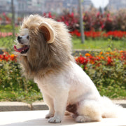 Lion Wig Costume Cats Accessories Cute Funny Small and Medium Sized Pet Dog Cat Accessories Lion Mane for Cat Pet Decor