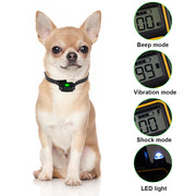 800m Electric Dog Training Collar Pet Remote Control Waterproof Rechargeable with LCD Display for All Size Shock Vibration Sound