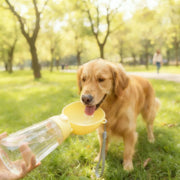 TUXTOOX Portable Dog Water Bottle 550ml | Leak-Proof Travel Pet Water Bottle with Built-in Bowl