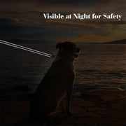 6FT Multi-Handle Reflective Dog Leash – Heavy-Duty Nylon Leash with Comfort Padding for Walks