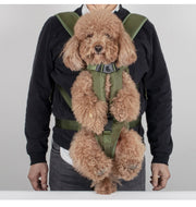 Hands-Free Pet Front Carrier Backpack – Breathable Mesh Carrier with Comfort Padded Straps for Travel, Adjustable Escape-Proof Dog Carrier with Tail Opening