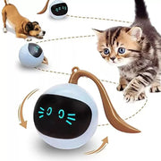 Interactive Cat Toy for Indoor Cats, Automatic Cat Ball Toy, Self-Rolling Cat Toy, Self-Rotating Pet Exercise Ball, USB Rechargeable Cat Toy, Kitten Toy