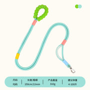 TUXTOOX Multi-Use Dog Leash, 150cm Shock-Absorbing Rope Lead with Soft Foam Handle, Anti-Pull Safety Lock Clip Pet Leash, Comfortable Durable Walking Training Rope for Small Medium Large Dogs