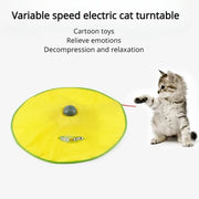 Interactive Cat Toy for Indoor Cats & Kittens Automatic Movements That Simulate Mouse Tail & Hunting Prey Self-Play Battery Powered for Physical & Mental Stimulation All Breeds