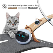 Interactive Cat Toy for Indoor Cats, Automatic Cat Ball Toy, Self-Rolling Cat Toy, Self-Rotating Pet Exercise Ball, USB Rechargeable Cat Toy, Kitten Toy
