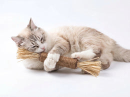 TUXTOOX 38CM Extra Durable Catnip Silvervine Chew Toy, 4-in-1 Natural Sisal Interactive Cat Stick, Bite-Resistant Dental Cleaning Toy, Stress Relief & Furniture Protection Play Toy for All Indoor Cats
