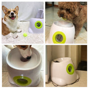 Funny Interaction Dog Ball Throwing Toys Tennis Launcher Automatic Throwing Machine Section Emission with 3 Balls