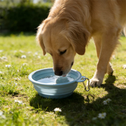 TUXTOOX Collapsible Dog & Cat Bowl - Portable Silicone Outdoor Pet Feeding Bowl | BPA-Free Travel Bowl for Hiking Camping