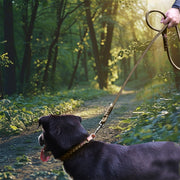 6FT Handcrafted Braided Paracord Dog Leash â€?Heavy-Duty Comfort Padded Leash for Outdoor Adventures