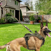 6FT Handcrafted Braided Paracord Dog Leash â€?Heavy-Duty Comfort Padded Leash for Outdoor Adventures