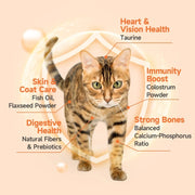 Cube Fresher Cat Lickable Complete Wet Food Chicken Recipe 150g (15g×10)